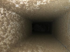 Ways To Expect During Duct And Dryer Vent Cleaning